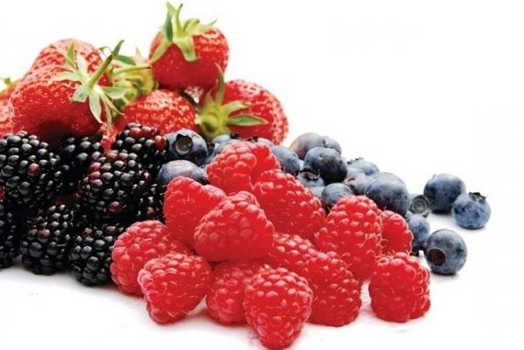 Idee per arrotondare: coltivare piccoli frutti Idee per arrotondare: coltivare piccoli frutti