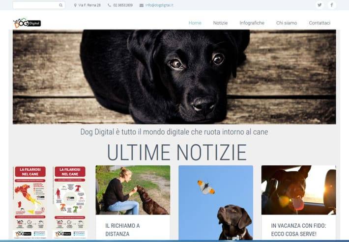 Dog Digital, il digital marketing “da cani” Dog Digital, il digital marketing “da cani”
