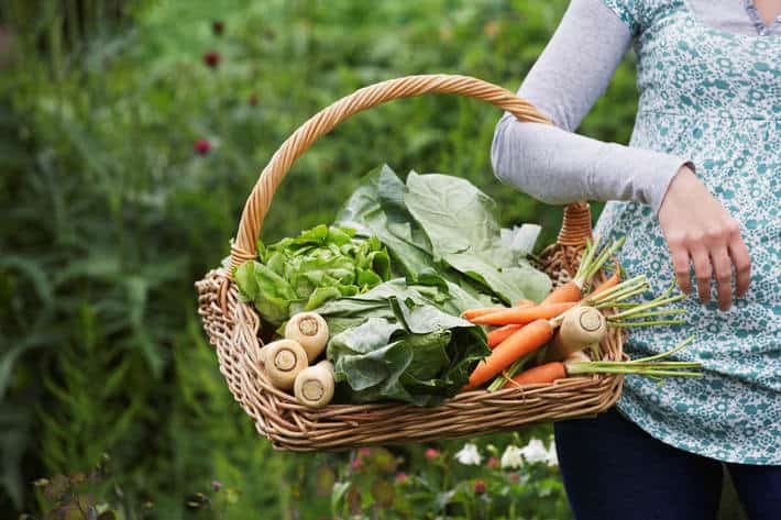 InnovUp, al via nuova call per le startup dell’Agrifood InnovUp, al via nuova call per le startup dell’Agrifood