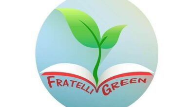 The Walt Disney Company Italia e Junior Achievement Italia premiano la giovane startup Fratelli Green GJ con il Creativity Award 2018.