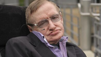 stephen-hawking startup-news