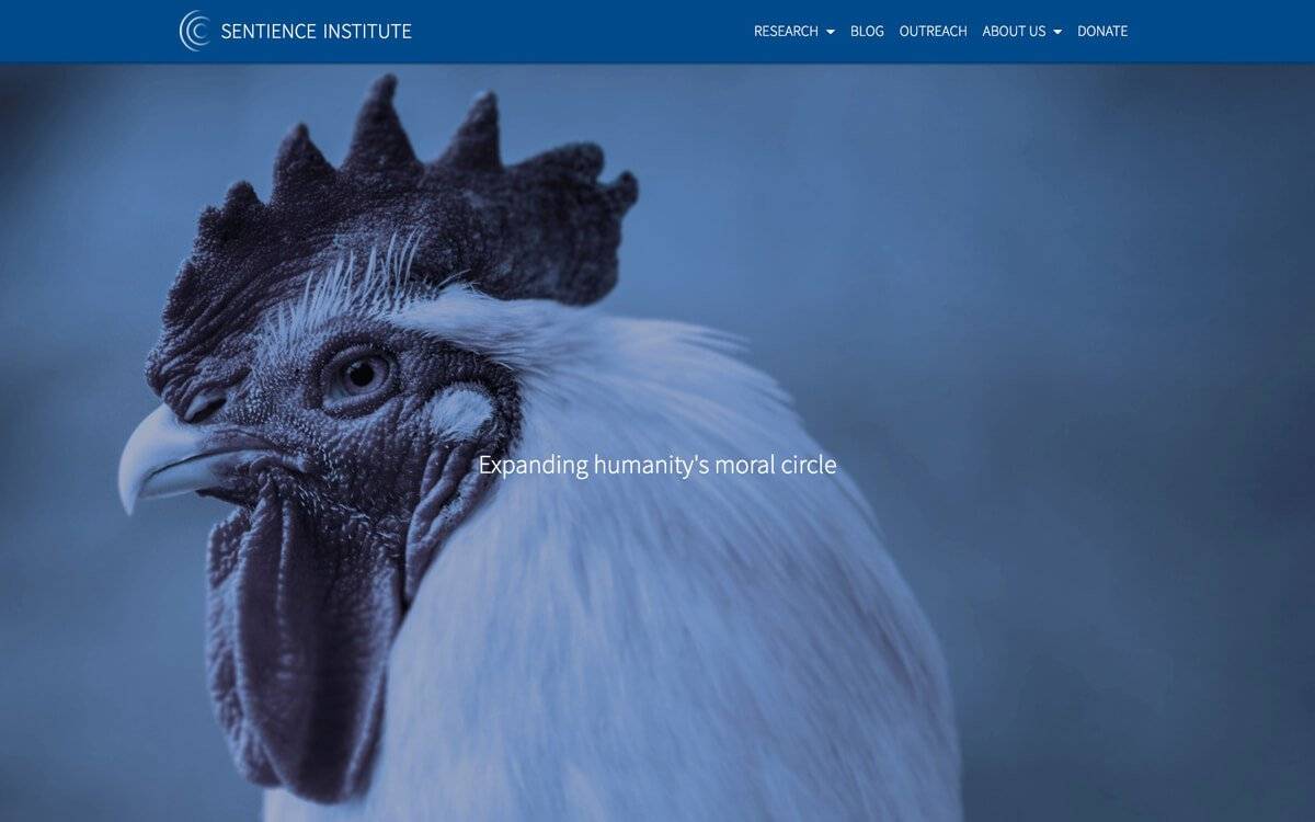 La fine degli allevamenti di animali a scopo di alimentazione è vicina La fine degli allevamenti di animali a scopo di alimentazione è vicina