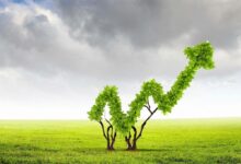 Green Economy ambiente crowdfunding startup-news