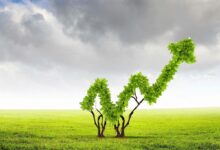 Green Economy ambiente crowdfunding startup-news