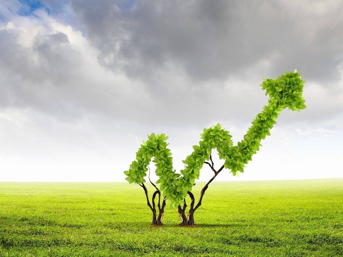L’equity crowdfunding fa bene all’ambiente. Le campagne di successo su CrowdFundMe L’equity crowdfunding fa bene all’ambiente. Le campagne di successo su CrowdFundMe