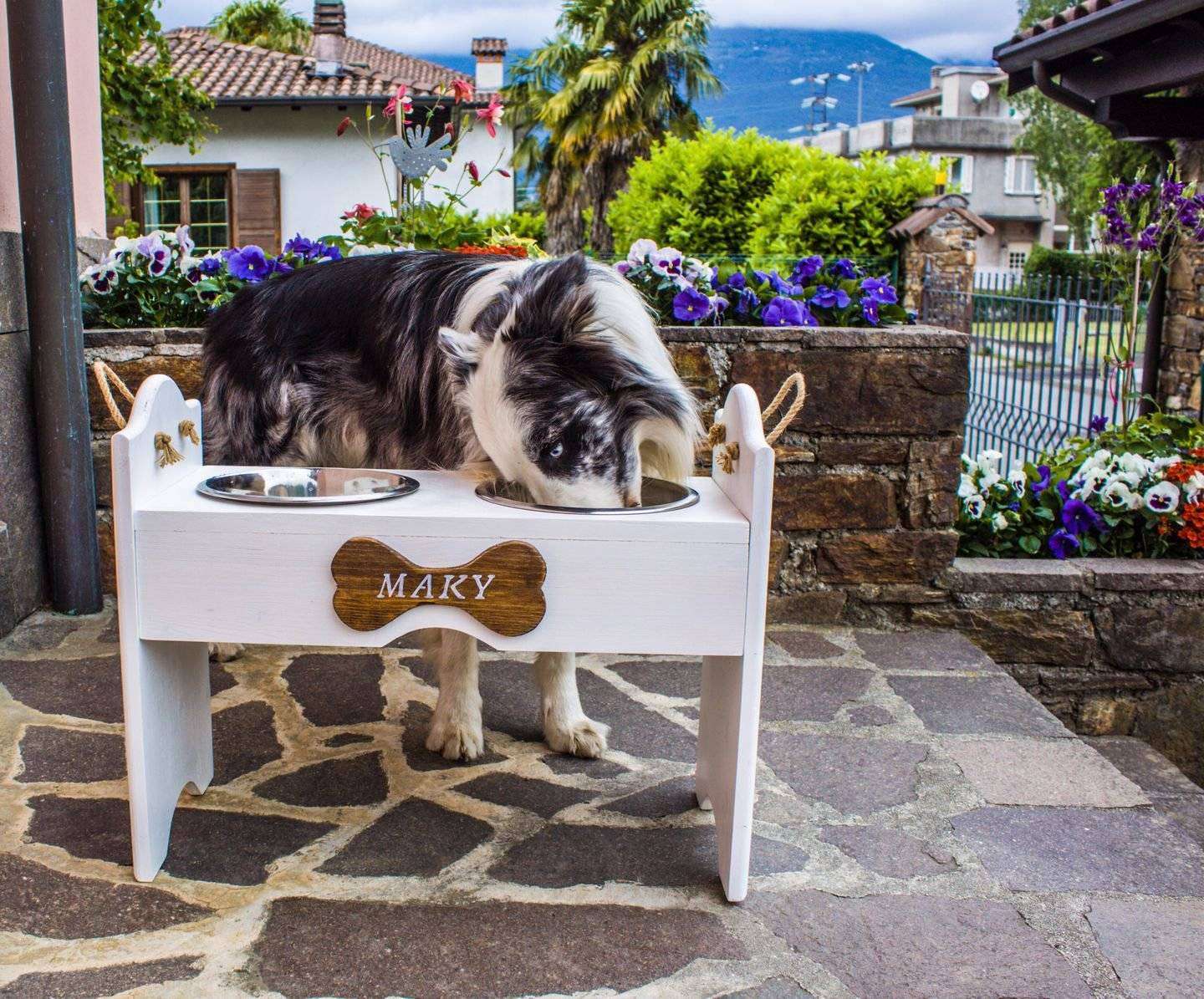 Tavolini da pranzo per cani? Li ha inventati una famiglia di edicolanti veneziani! Tavolini da pranzo per cani? Li ha inventati una famiglia di edicolanti veneziani!