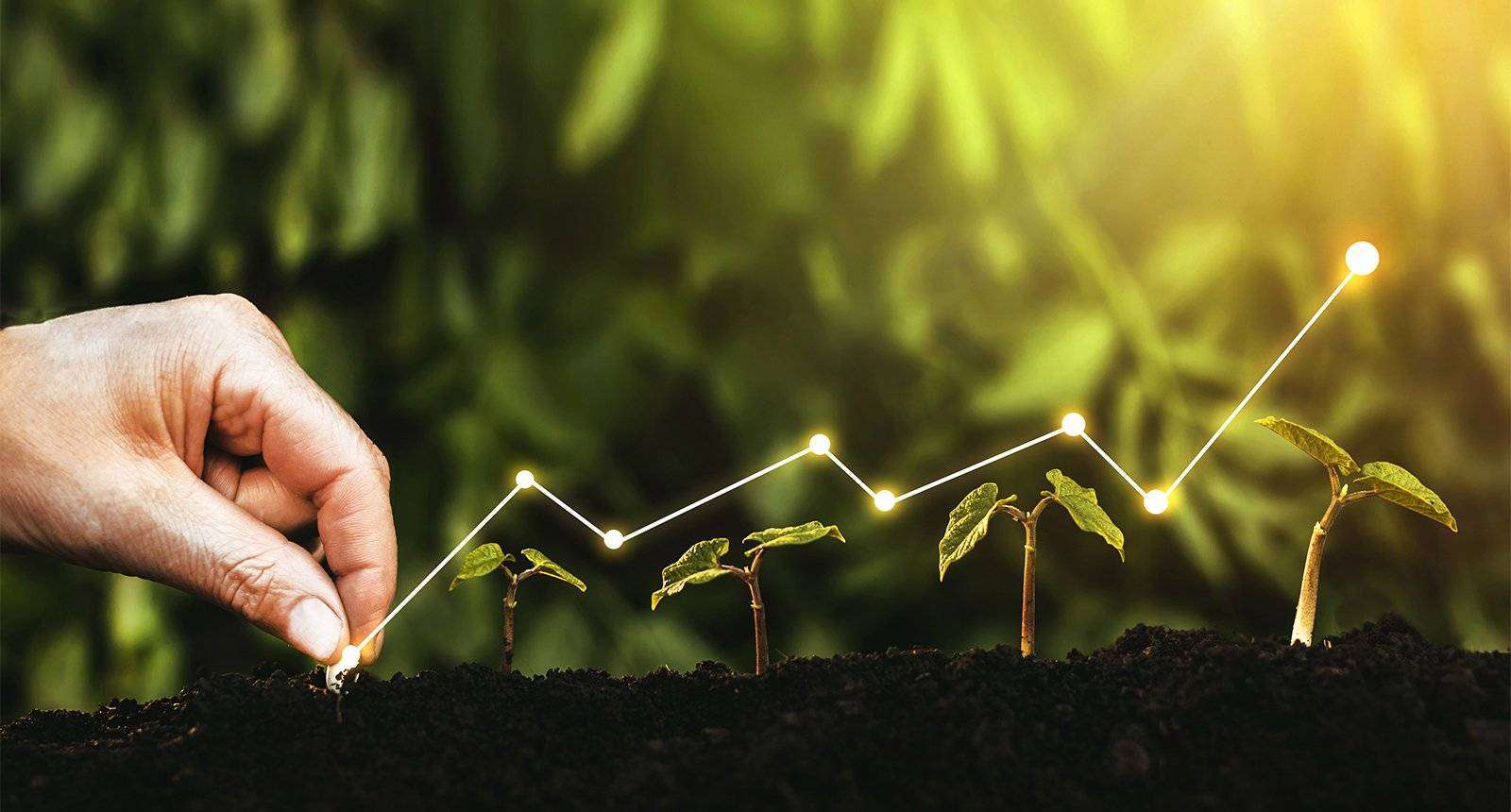 Investire in startup? Le 10 regole di Seed Money per scegliere quelle giuste Investire in startup? Le 10 regole di Seed Money per scegliere quelle giuste