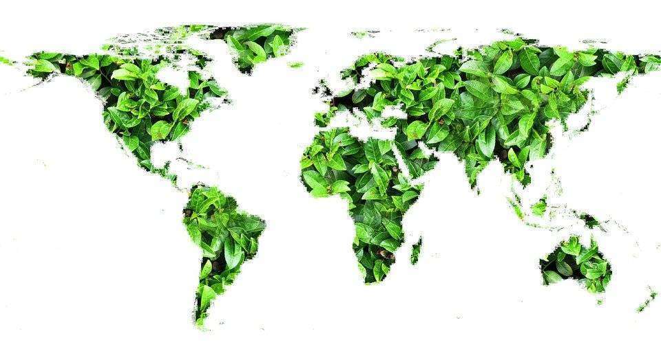 Fintech, oltre un quarto è Green & Social Fintech, oltre un quarto è Green & Social