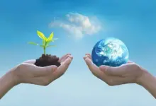 Amazon Launchpad Sustainability Accelerator