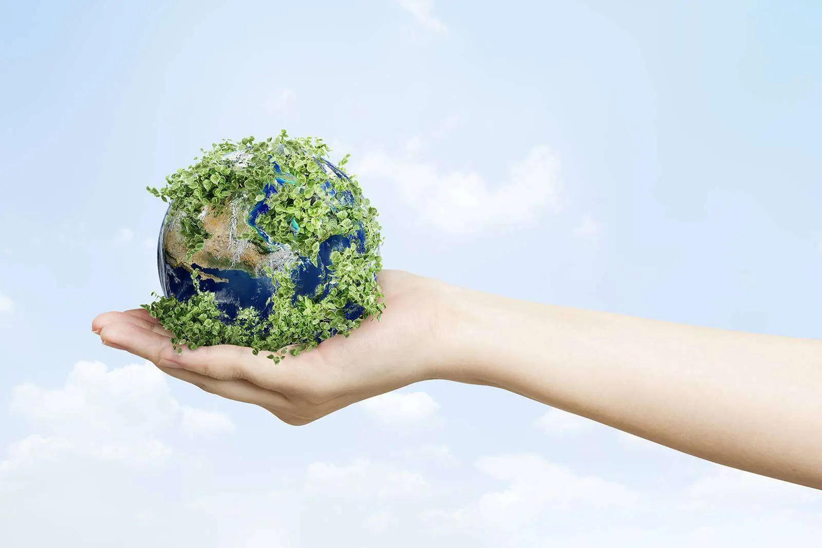 Tassonomia decarbonizzazione UE