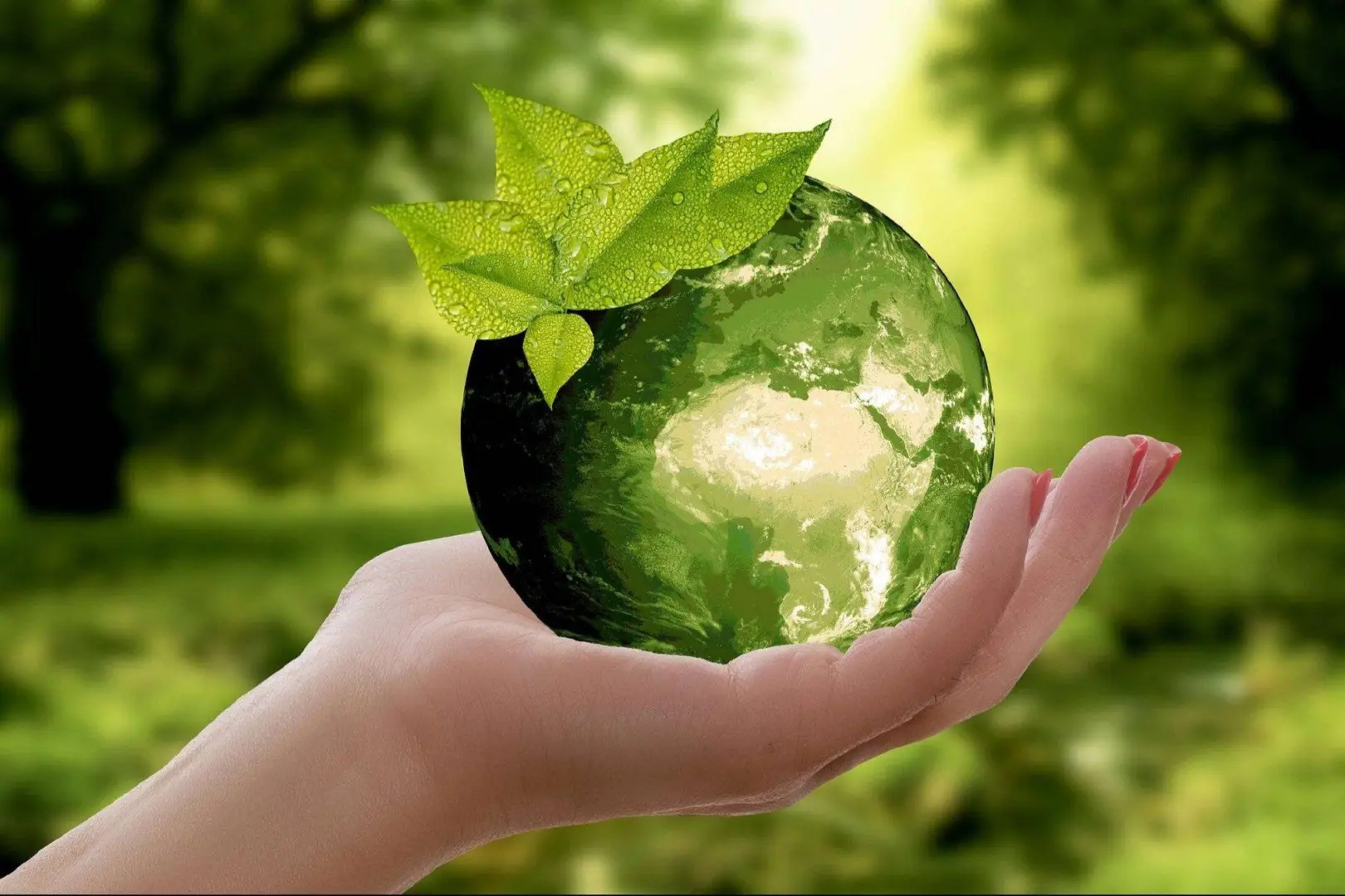 Green Startup News