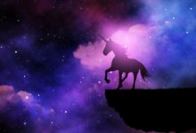 Invisible unicorn startup news