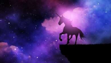 Invisible unicorn startup news