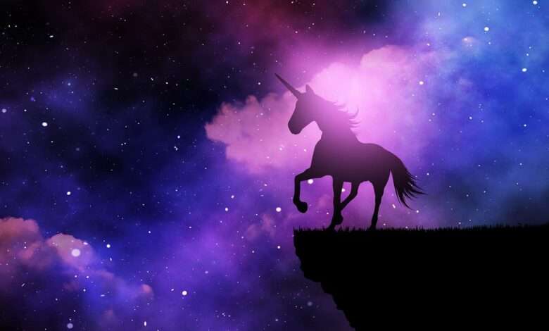 Invisible unicorn startup news