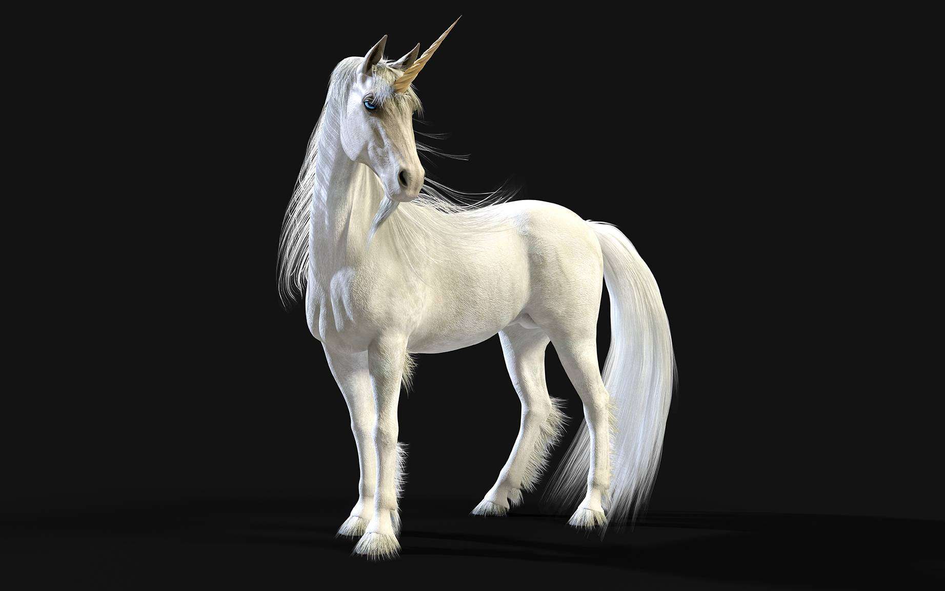 Startup unicorno, ma cosa sono esattamente? Startup unicorno, ma cosa sono esattamente?