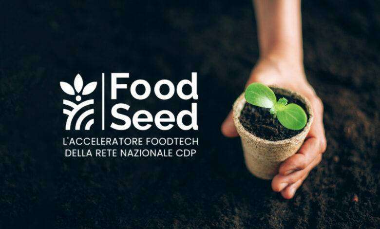 Food Seed Acceleratore Verona