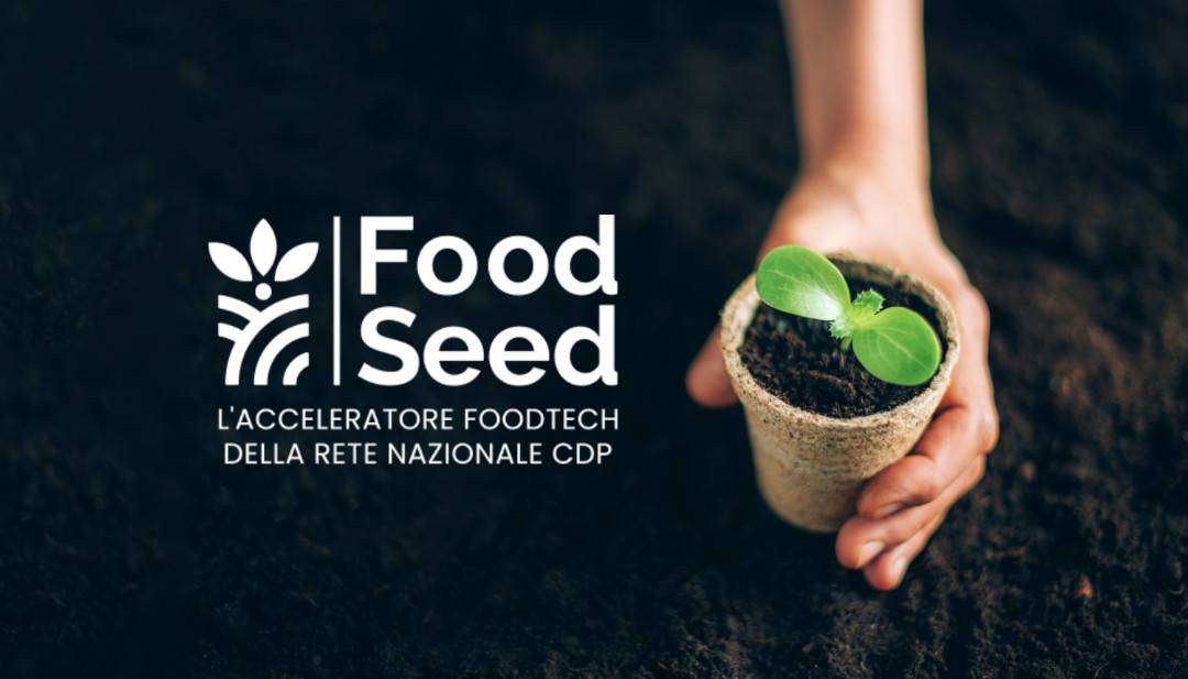 FoodSeed, nasce acceleratore per startup FoodTech FoodSeed, nasce acceleratore per startup FoodTech