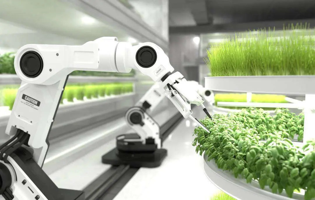 FoodTech aziende e tecnologie più interessanti