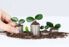 seed e pre-seed funding situazione italiana