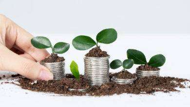 seed e pre-seed funding situazione italiana