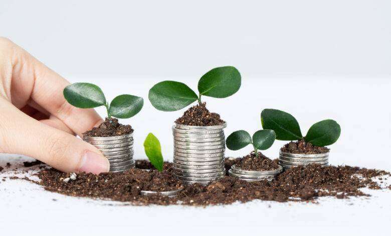 seed e pre-seed funding situazione italiana