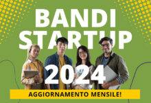 Bandi startup 2024
