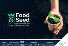 FoodSeed 2024