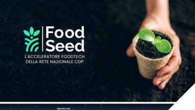 FoodSeed 2024