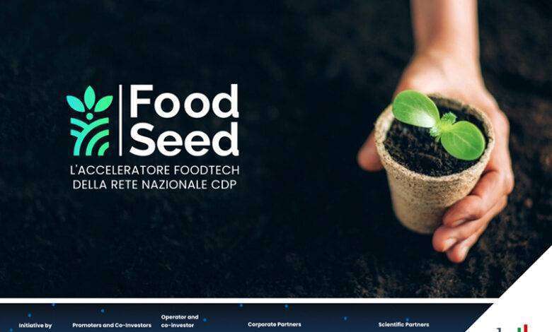 FoodSeed 2024