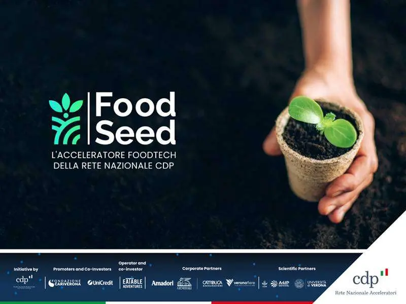 FoodSeed 2024