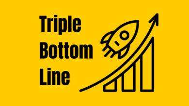 triple bottom line definizione