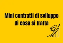 mini contratti di sviluppo
