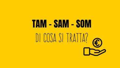 TAM SAM SOM