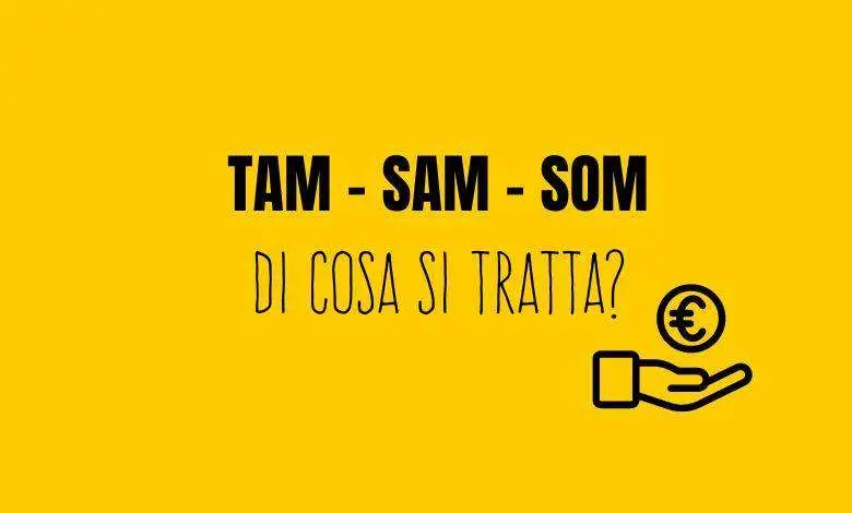 TAM SAM SOM