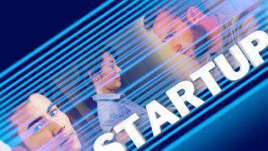 novita startup