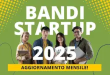 Bandi startup 2025
