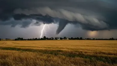 polizze catastrofali