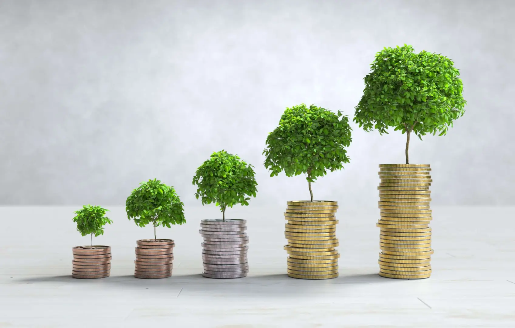 Piani Individuali di Risparmio (PIR)