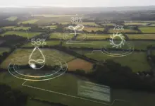 Amazon Sustainability Accelerator 2025