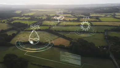 Amazon Sustainability Accelerator 2025