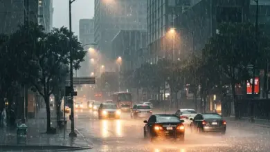 polizze rischi catastrofali