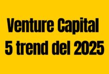 Venture Capital 2025