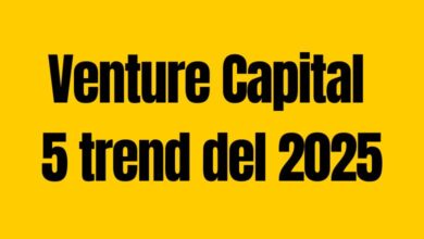 Venture Capital 2025