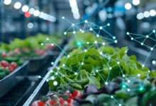 startup foodtech italiane