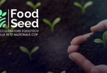 FoodSeed 2026
