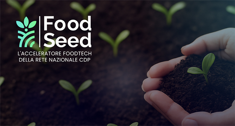 FoodSeed 2026