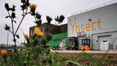 Insect farming Ynsect