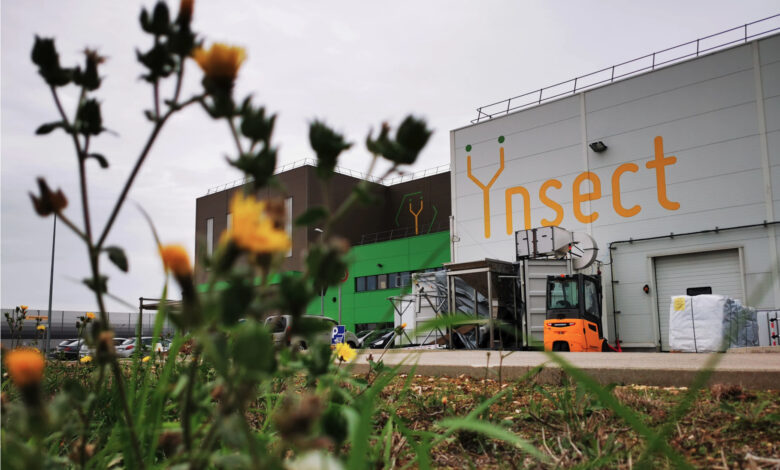 Insect farming Ynsect