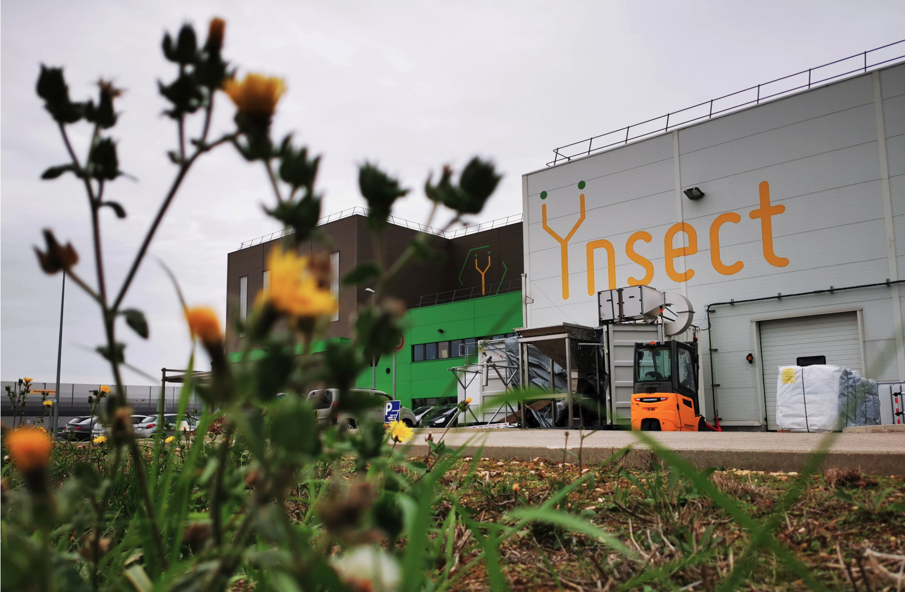 Insect farming Ynsect