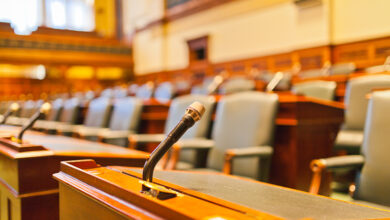 Perplexity in tribunale